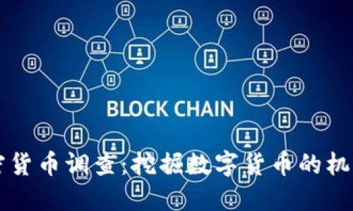 南非加密货币调查：挖掘数字货币的机遇与挑战