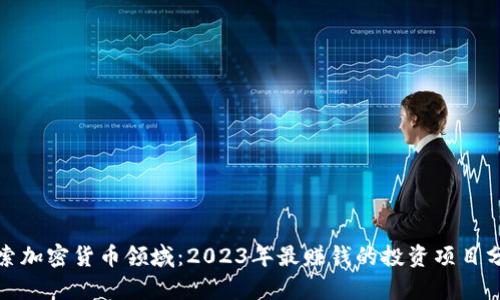 探索加密货币领域：2023年最赚钱的投资项目分析