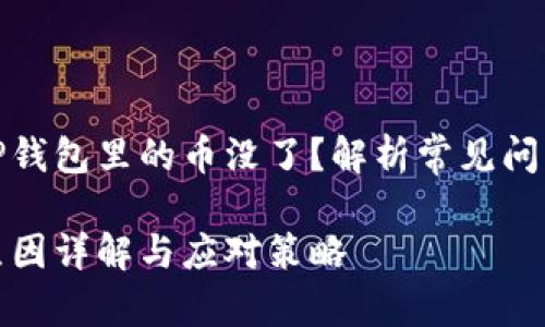 为什么我的TP钱包里的币没了？解析常见问题与解决方案

TP钱包丢币原因详解与应对策略