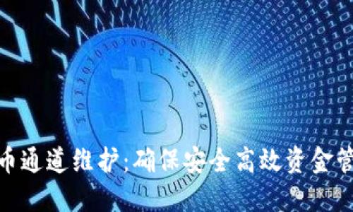 TP钱包提币通道维护：确保安全高效资金管理的关键
