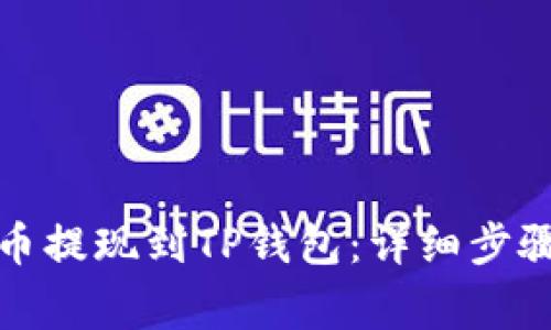 如何将柚子币提现到TP钱包：详细步骤和注意事项