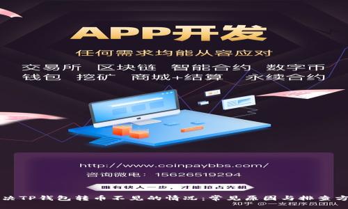 解决TP钱包转币不见的情况：常见原因与排查方法