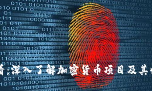 新手必看：深入了解加密货币项目及其收益潜力