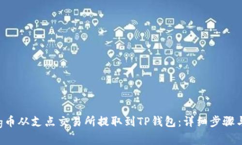 如何将Dog币从支点交易所提取到TP钱包：详细步骤与注意事项