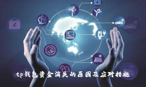 tp钱包资金消失的原因及应对措施