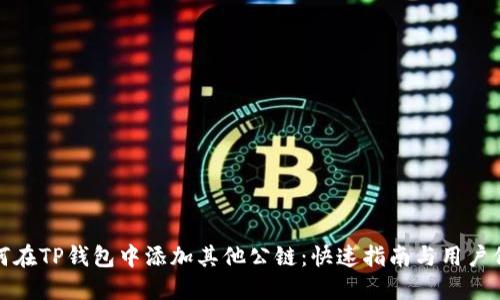 如何在TP钱包中添加其他公链：快速指南与用户价值