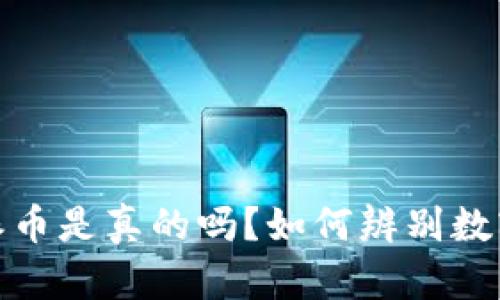 TP钱包中的派币是真的吗？如何辨别数字资产的真伪