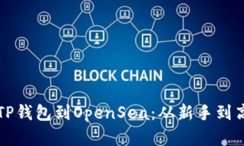 如何快速连接TP钱包到OpenSea：从新手到高手的完整指南