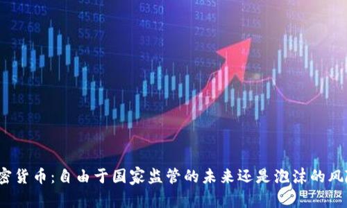 加密货币：自由于国家监管的未来还是泡沫的风险？