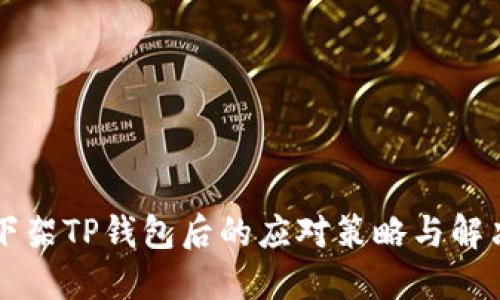 美国下架TP钱包后的应对策略与解决方案