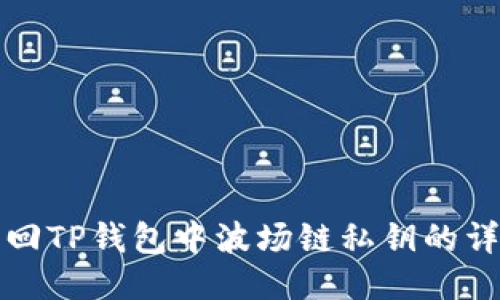 如何找回TP钱包中波场链私钥的详细指南