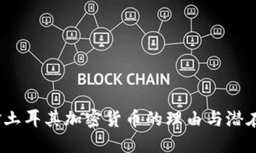  反对土耳其加密货币的理由与潜在影响