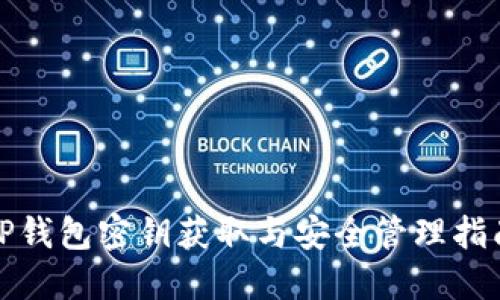 TP钱包密钥获取与安全管理指南