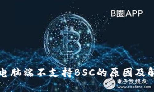 TP钱包电脑端不支持BSC的原因及解决方案