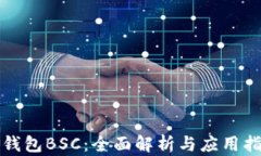 TP钱包BSC：全面解析与应用指南