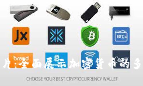 加密货币目录图片：全面展示加密货币的多样性与市场趋势