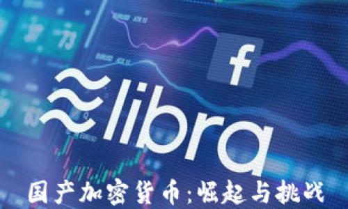 
国产加密货币：崛起与挑战