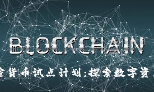 美国加密货币试点计划：探索数字资产的未来