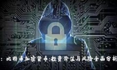 : 比特币加密货币：投资价值与风险全面分析