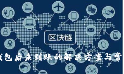 提币到TP钱包后未到账的解决方案与常见问题解析