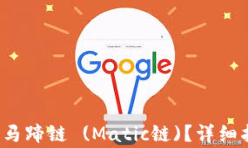 
 TP钱包如何添加新马蹄链 (Matic链)？详细指南与常见问题解答