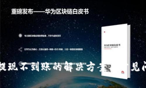 TP钱包提现不到账的解决方案与常见问题解析