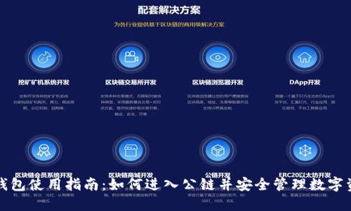 TP钱包使用指南：如何进入公链并安全管理数字资产