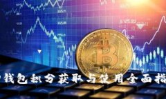 TP钱包积分获取与使用全面指南