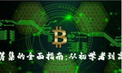 加密货币筹集的全面指南：从初学者到高级投资