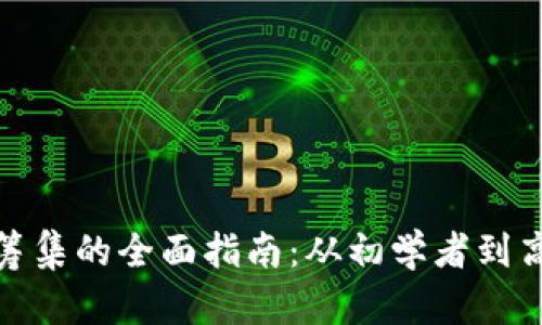 加密货币筹集的全面指南：从初学者到高级投资者