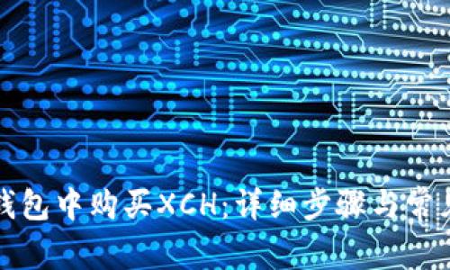 如何在TP钱包中购买XCH：详细步骤与常见问题解答